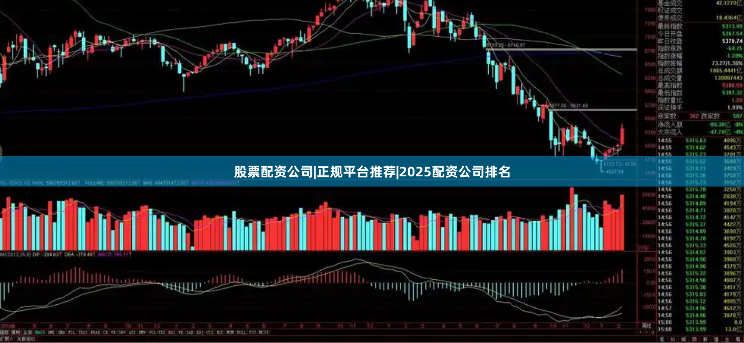股票配资公司|正规平台推荐|2025配资公司排名